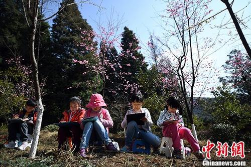 春城桃花節昆明萌娃桃花節里畫桃花
